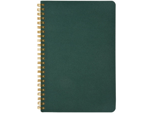 Бизнес тетрадь А5 «Pragmatic», Цвет зеленый